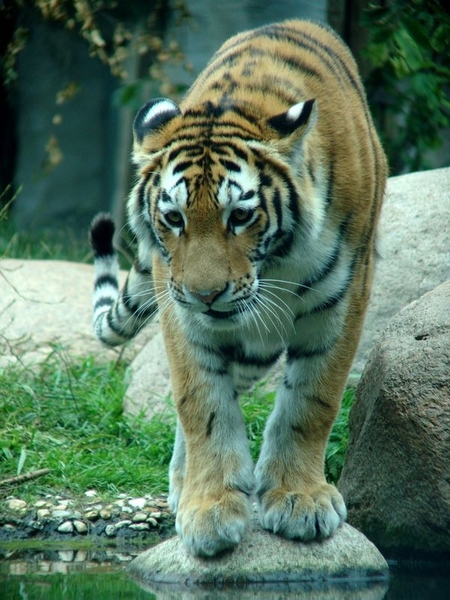 Zoo Leipzig