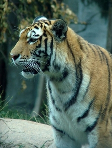 Zoo Leipzig