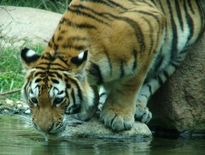 Zoo Leipzig