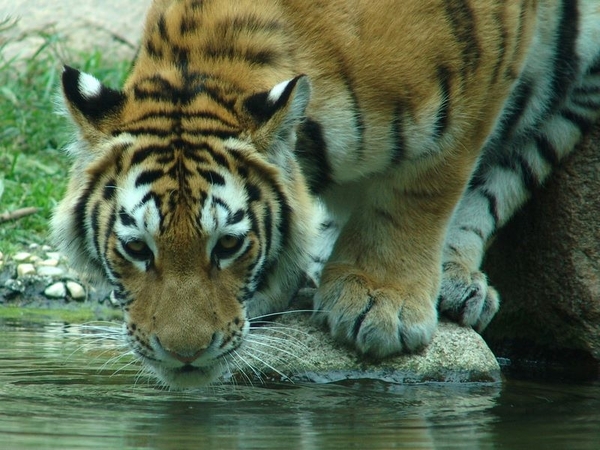 Zoo Leipzig