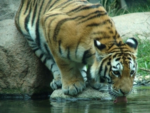 Zoo Leipzig