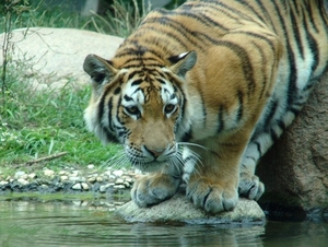 Zoo Leipzig