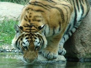 Zoo Leipzig