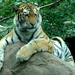 Zoo Leipzig