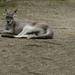 Zoo Leipzig