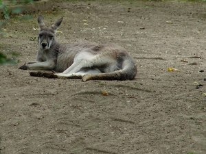 Zoo Leipzig