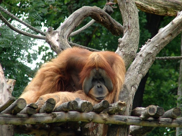 Zoo Leipzig