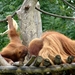 Zoo Leipzig