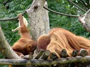 Zoo Leipzig