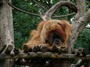 Zoo Leipzig