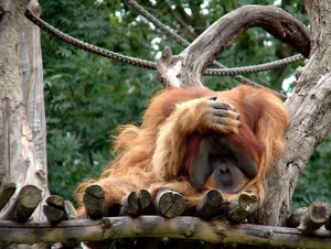 Zoo Leipzig