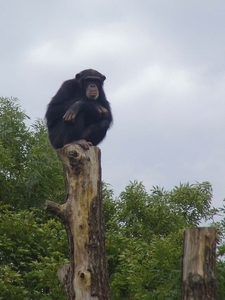 Zoo Leipzig