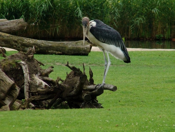 Zoo Leipzig