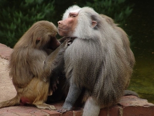 Zoo Leipzig