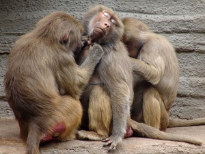 Zoo Leipzig