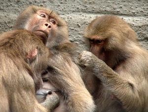 Zoo Leipzig