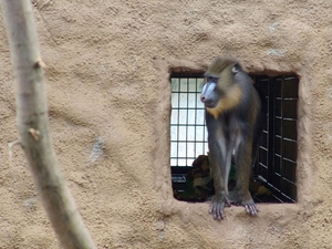 Zoo Dresden