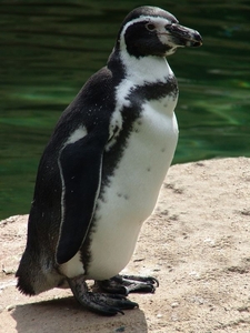 Zoo Dresden