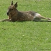 Zoo Dresden