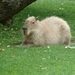 Zoo Dresden