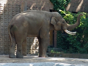 Zoo Berlin