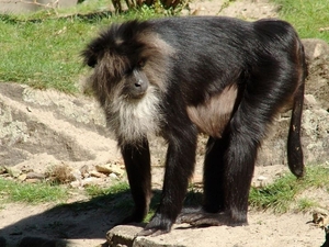 Zoo Berlin