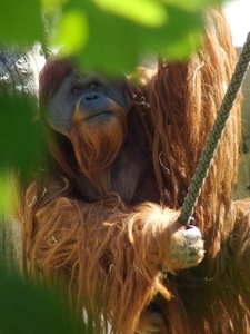 Zoo Berlin