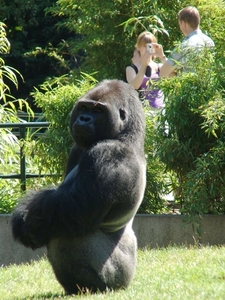 Zoo Berlin