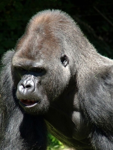 Zoo Berlin