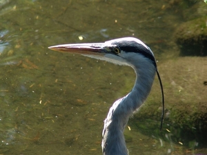 Zoo Berlin