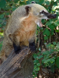 Zoo Berlin