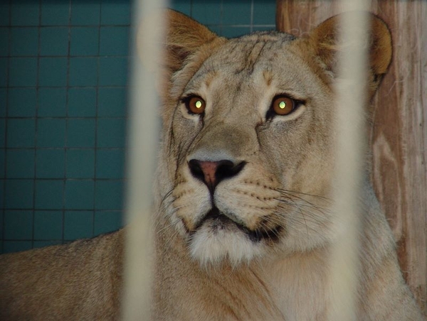 Zoo Berlin