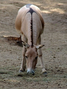 Zoo Rostock