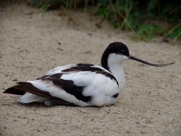 Zoo Rostock