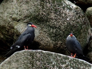 Zoo Rostock