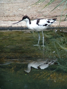 Zoo Rostock