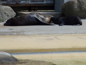 Zoo Rostock