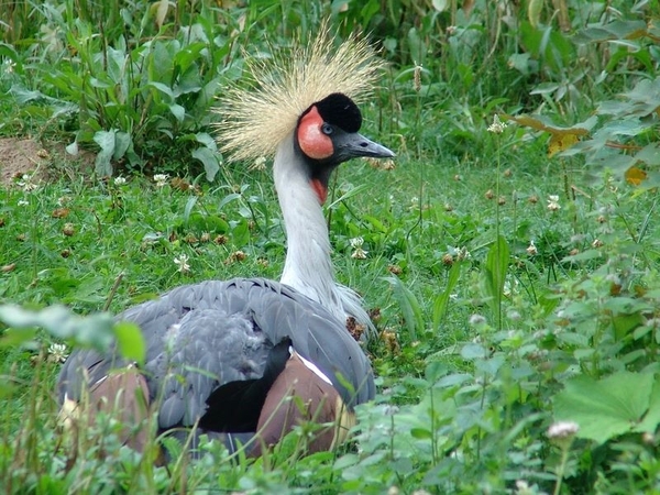 Zoo Rostock