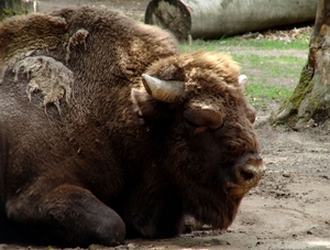 Zoo Rostock