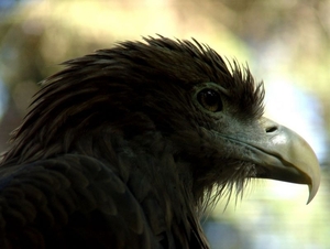 Zoo Rostock