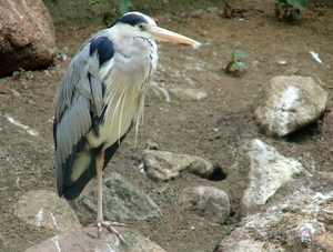 Zoo Rostock