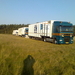duiven lossen lommel
