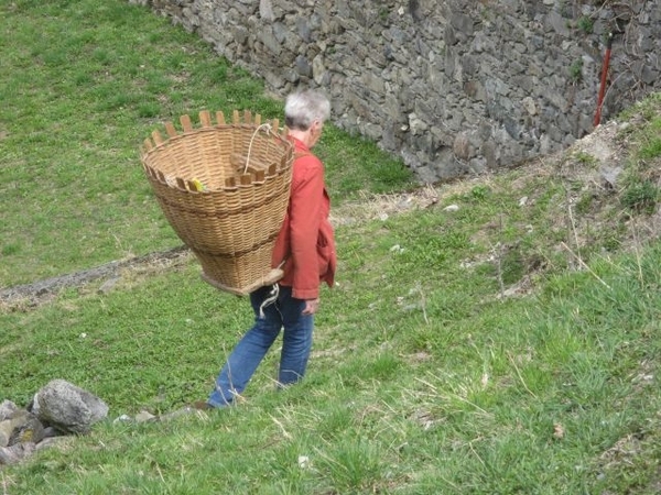 20090411 920 Tz wandeling Isérables