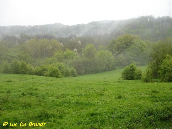 Ardennen Romedenne