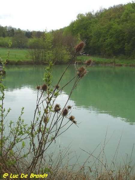 Ardennen Romedenne