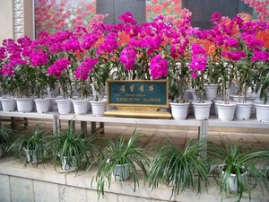 DSCF0338