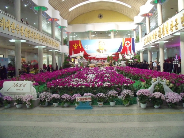 DSCF0346