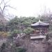 DSCF0442