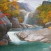 DSCF0520