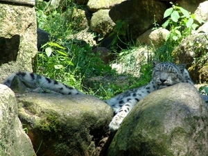 Wildpark Hanstedt-Nindorf (D)